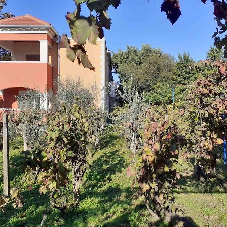 Apartments Rolovina Tivat Bagian luar foto