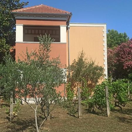 Apartments Rolovina Tivat Bagian luar foto