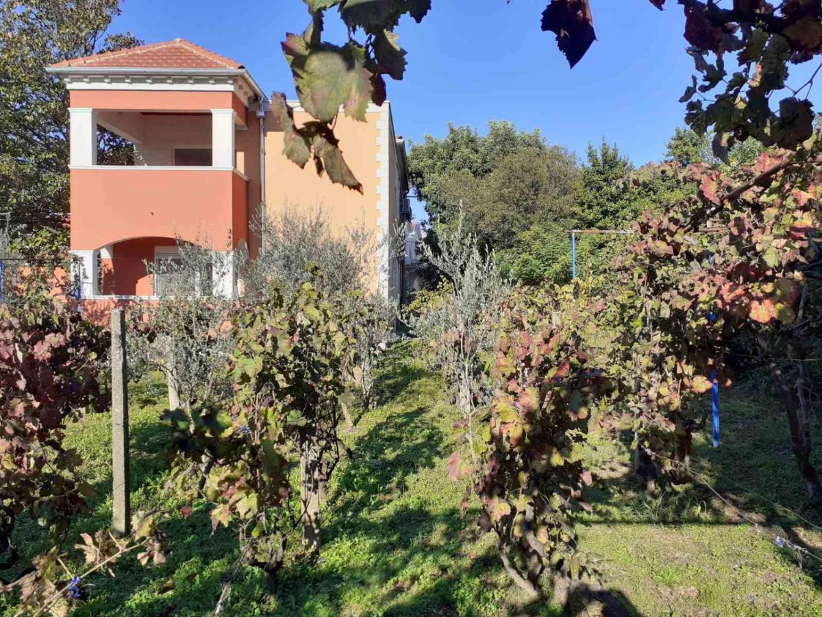 Apartments Rolovina Tivat Bagian luar foto