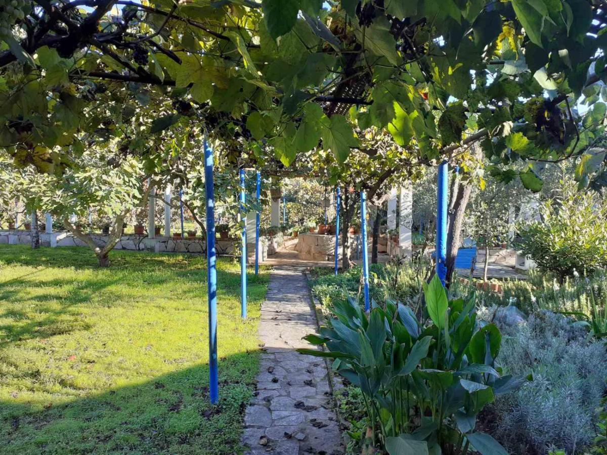 Apartments Rolovina Tivat Bagian luar foto
