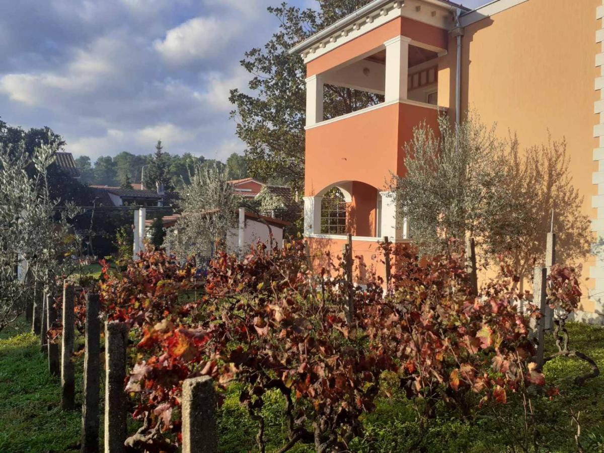 Apartments Rolovina Tivat Bagian luar foto