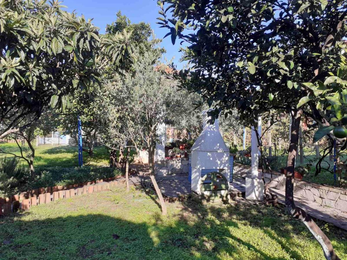 Apartments Rolovina Tivat Bagian luar foto