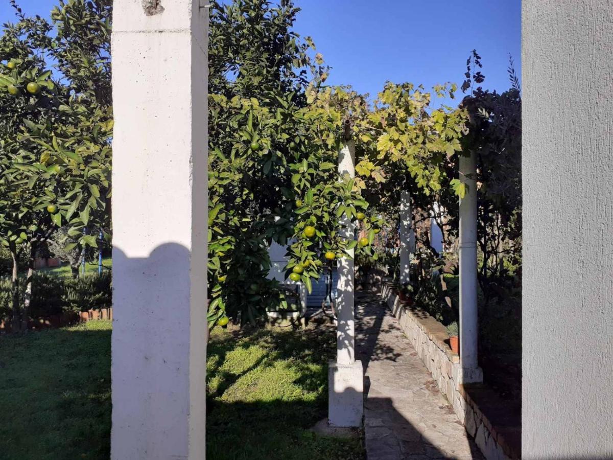 Apartments Rolovina Tivat Bagian luar foto