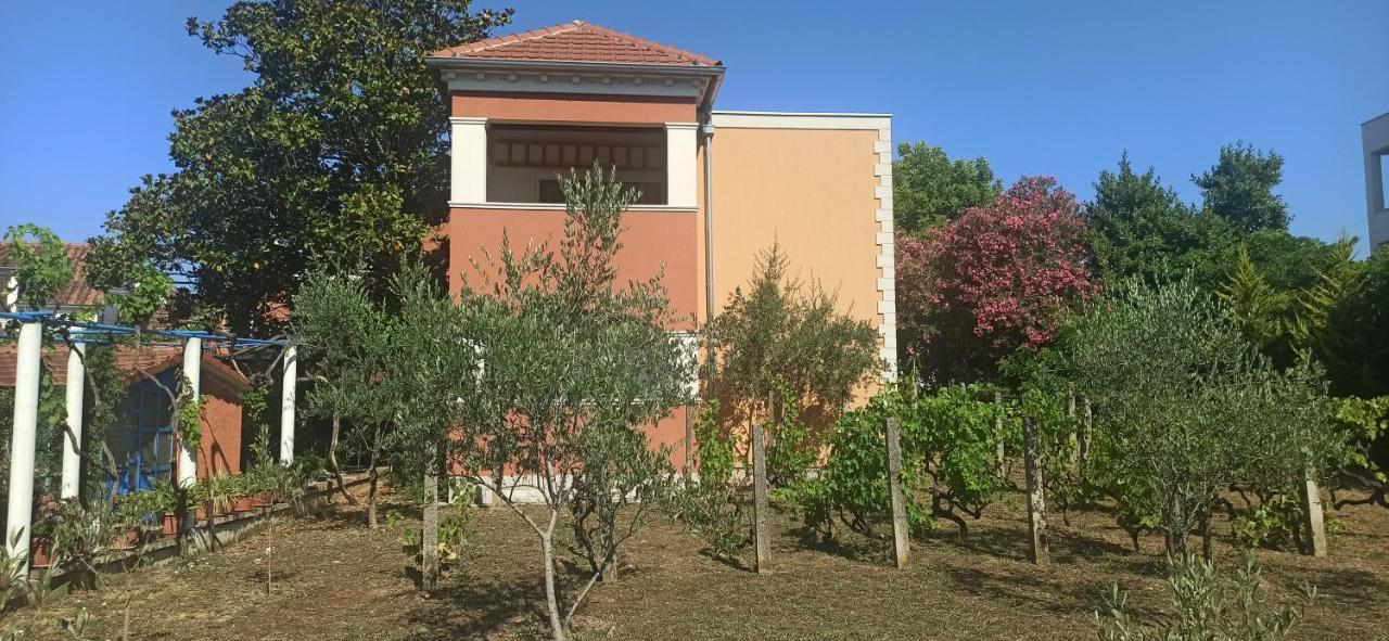Apartments Rolovina Tivat Bagian luar foto