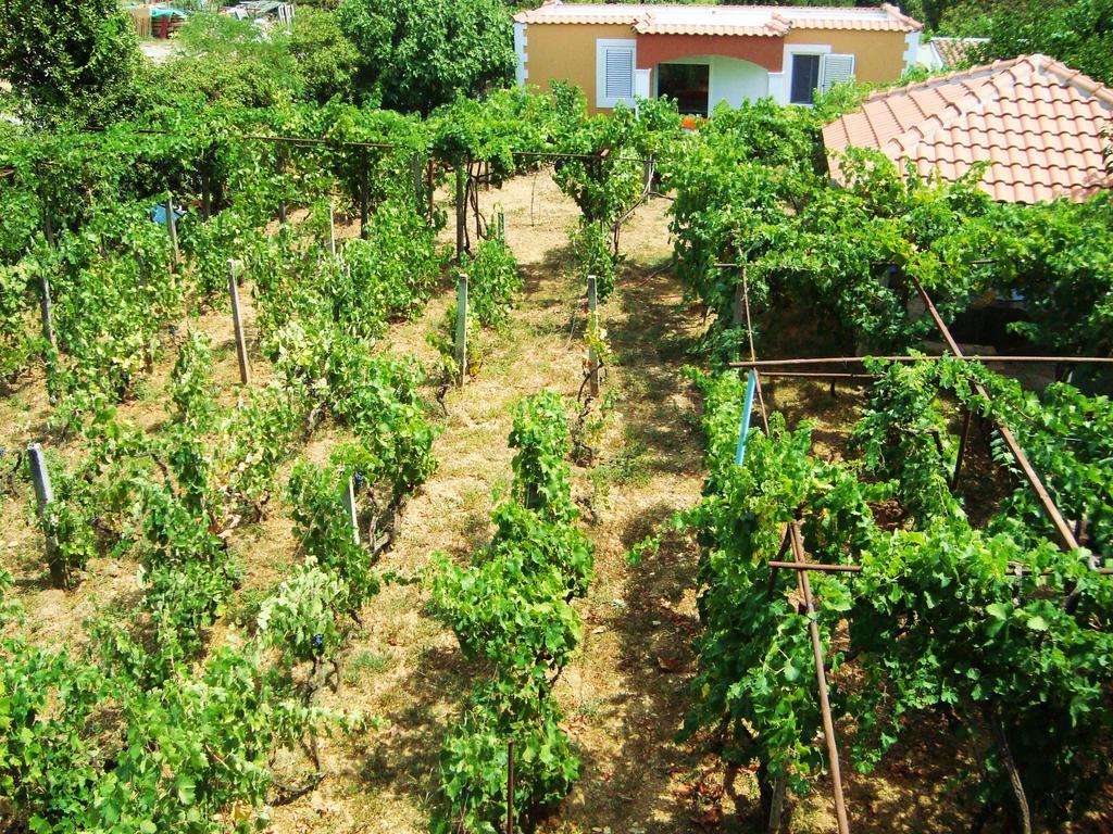 Apartments Rolovina Tivat Ruang foto